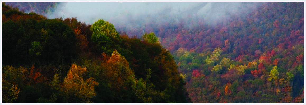 Arturo Armando A Fall Morning Nature   General   Class A 20251022